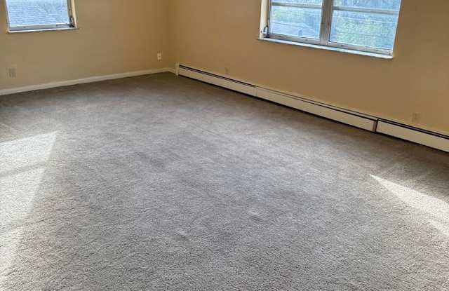 Purcell photos photos