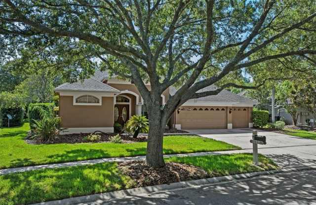 5519 REFLECTIONS BOULEVARD - 5519 Reflections Boulevard, Keystone, FL 33558