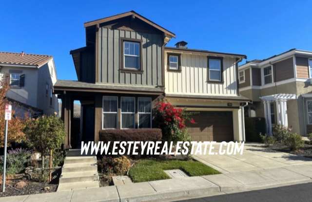 Large 4 Bedroom House in Hiddenbrook Community! photos photos