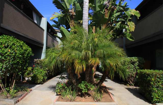 1021 Vulcan - 7 Gallery 2