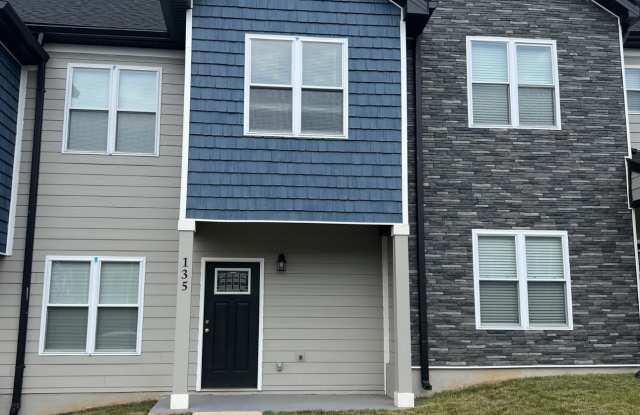 123 Emanuel Court - 123 Emanuel Court, Timberlake, VA 24502
