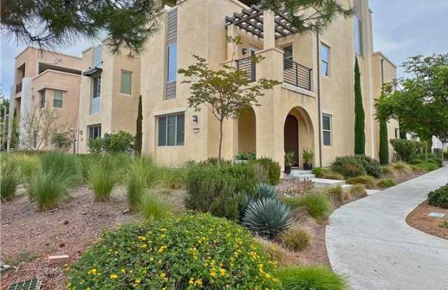 137 Stellar photos photos