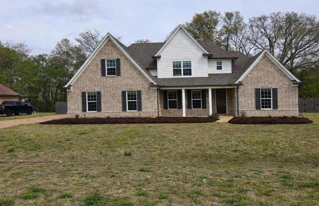 Modern and Spacious 4 bedroom home in Olive Branch for Lease photos photos