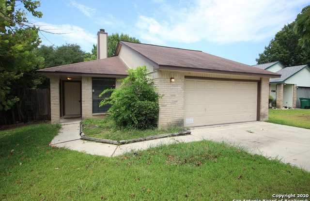 14915 TROPICAL STORM Gallery 2