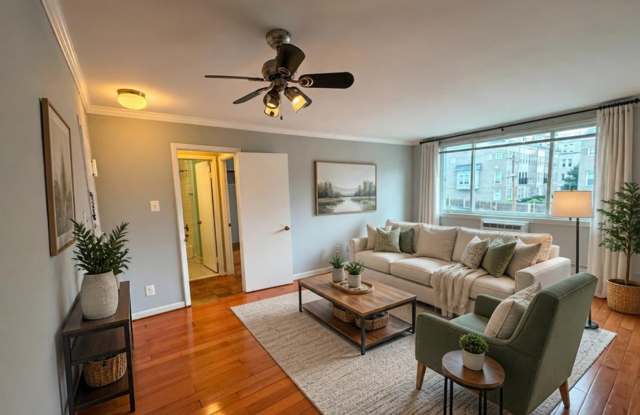 Light-Filled 1BR, 1BA in the Heart of Brookland Gallery 4