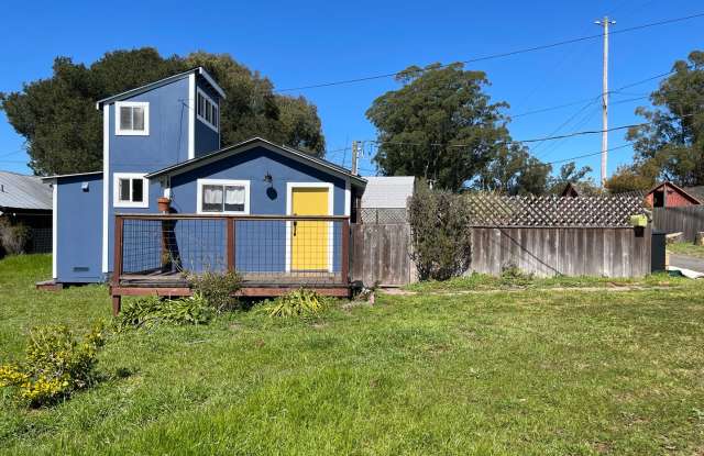 Cute and Quaint One bedroom in Petaluma. Pet Friendly with Private Yard! photos photos