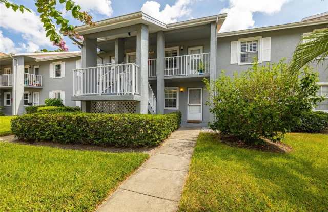 1465 MILLSTREAM LANE - 1465 Millstream Lane, Dunedin, FL 34698
