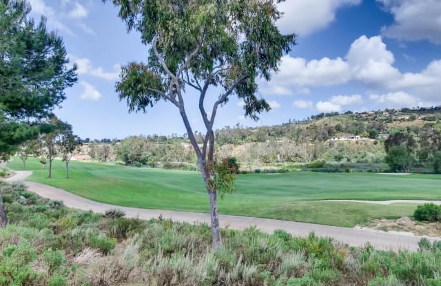 16942 Blue Shadows Ln - 16942 Blue Shadows Lane, San Diego County, CA 92127