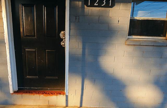 1231 Woolfolk Terrace - 1231 Woolfolk Terrace, Macon-Bibb, GA 31217