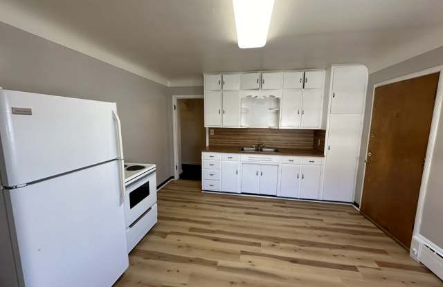 223 W Washington Ave - 223 West Washington Avenue, Jackson, MI 49201