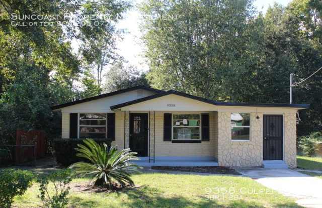 9358 Culpeper Ave - 9358 Culpeper Ave, Jacksonville, FL 32208