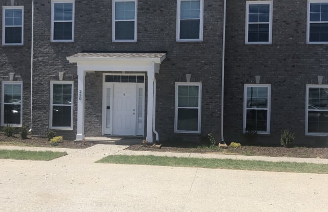 250 Grand Ave - 250 Grand Ave, Spring Hill, TN 37174