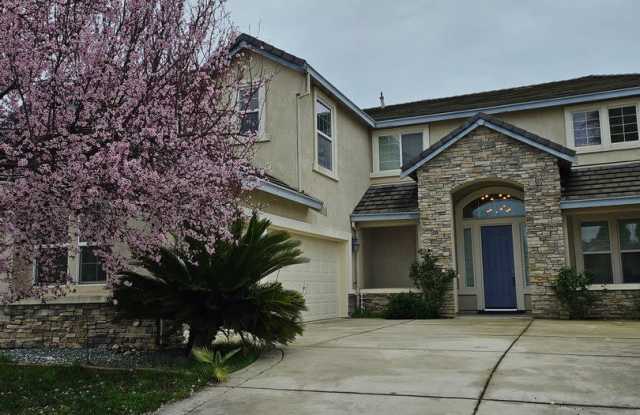 1178 Jewelflower St photos photos