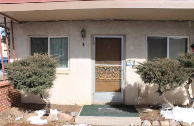 $758 | 1BR/1BA | Cat Friendly Condo for rent in Colorado Springs photos photos