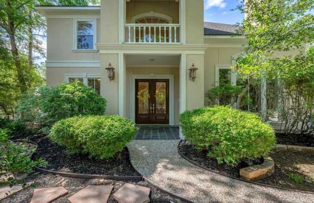 11 Morning Arbor Place - 11 Morning Arbor Place, The Woodlands, TX 77381