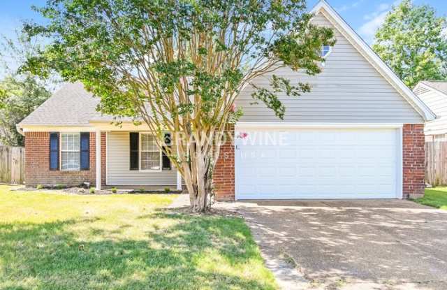 7569 Bridelwreath Drive - 7569 Bridelwreath Drive, Shelby County, TN 38125