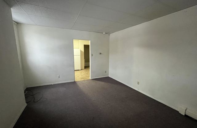 325 South 5th Street - 1 Gallery 3