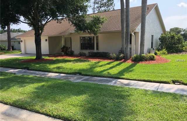 380 HEDGEROW LANE - 380 Hedgerow Lane, East Lake, FL 34688