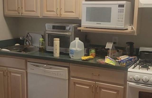 Amazing 1 Bed in Harvard Square available August 1st - 58 John F. Kennedy Street, Cambridge, MA 02138 Amazing 1 Bed in Harvard Square available August 1st - 58 John F. Kennedy Street, Cambridge, MA 02138