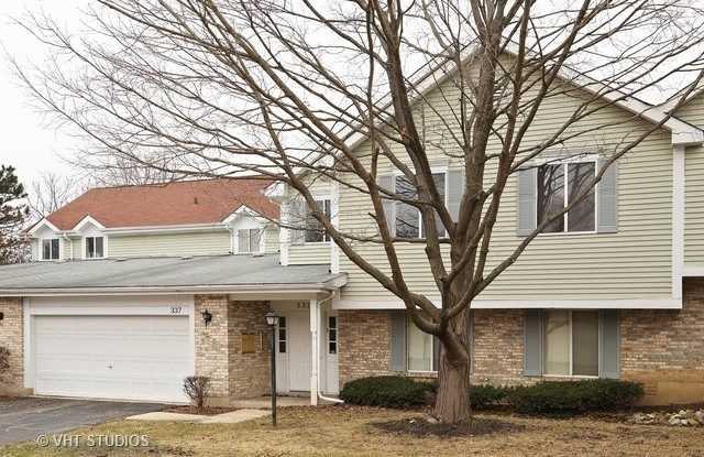 337 Springlake Lane - 337 Springlake Lane, Aurora, IL 60504