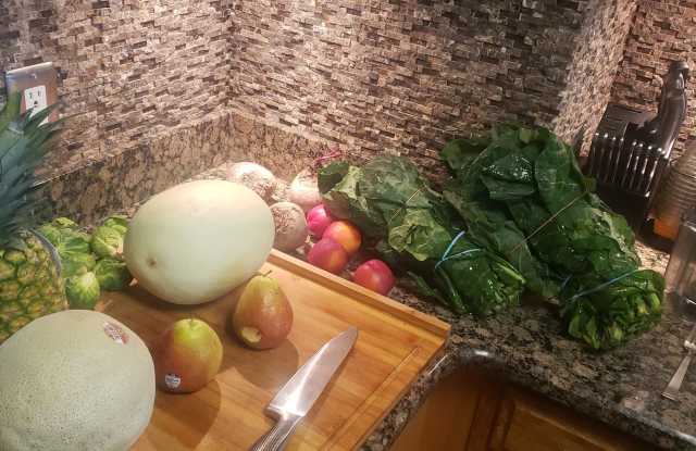 226 Lake Arrowhead Cir Gallery 3