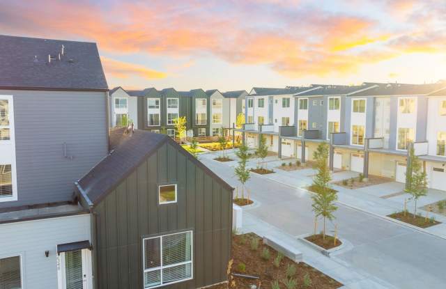 Lupine Longmont photos photos