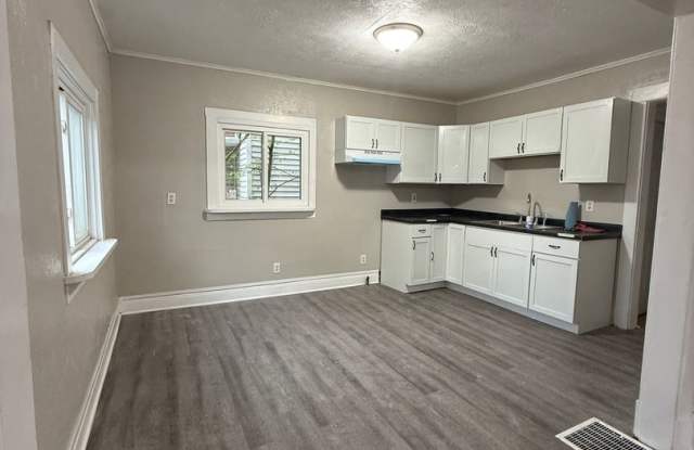 Beautiful House on the Elkhart River photos photos