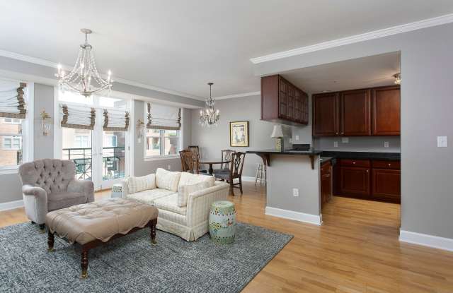 1 Bedroom w/Den Condo In Meadowmont Village Chapel Hill! photos photos