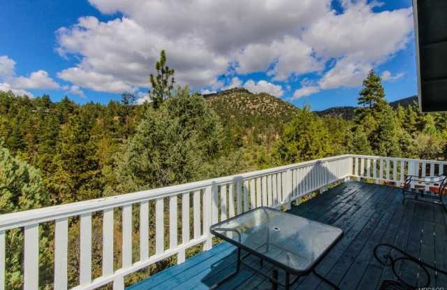 1141 Nana Avenue - 1141 Nana Avenue, Big Bear City, CA 92314
