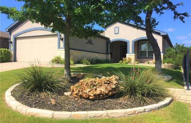 107 Trinity Lane - 107 Trinity Lane, Georgetown, TX 78633