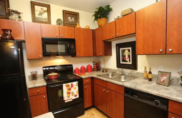 17271 Shavano Ranch Dr Gallery 3
