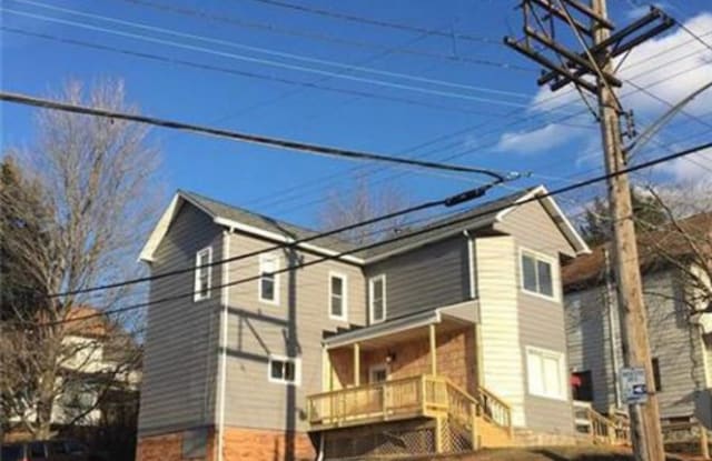 802 Spruce Street A - 802 Spruce Street, East Rochester, PA 15074