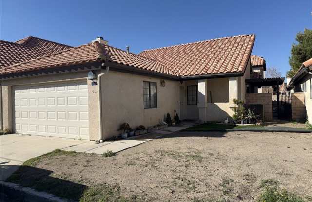 19248 Palm photos photos 19248 Palm photos photos