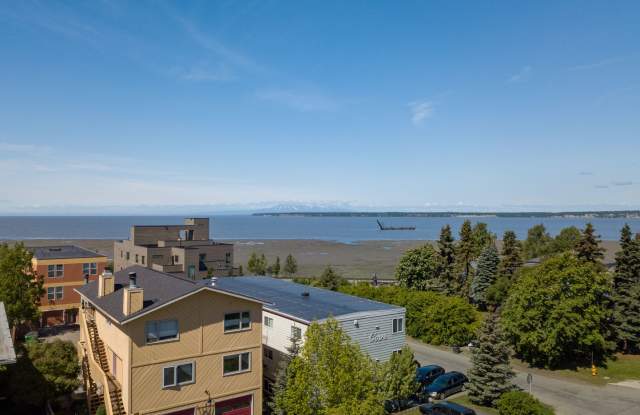 superscale penthouse-month to month rental-  617 N Street Gallery 4