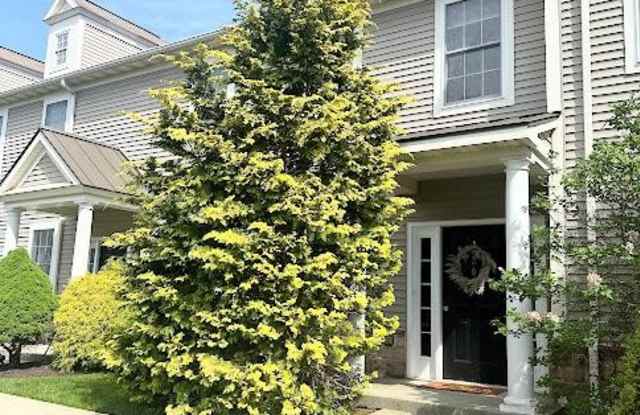 203 SPRINGMONT Gallery 2