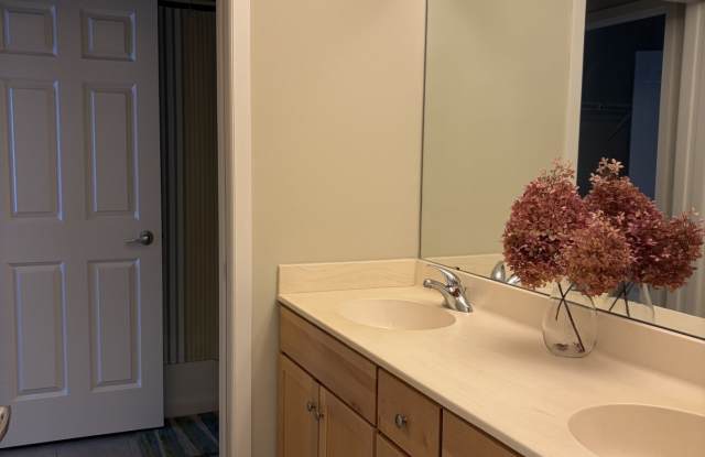 2144 Village Trail Gallery 4