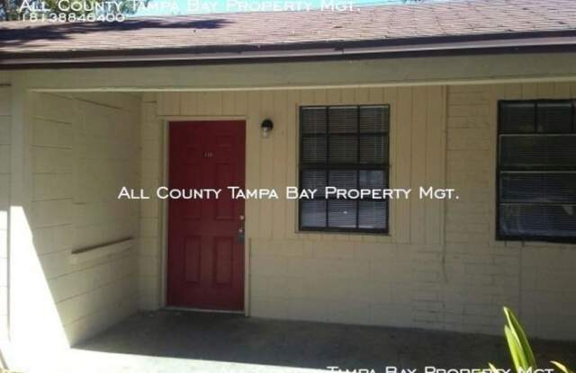 422 Pinewood Ave - 422 Pinewood Court, Brandon, FL 33510