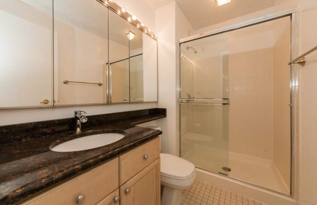195 North Harbor Drive Gallery 2