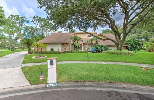 13906 CAPTAINS REEF COURT - 13906 Captains Reef Court, Carrollwood, FL 33624