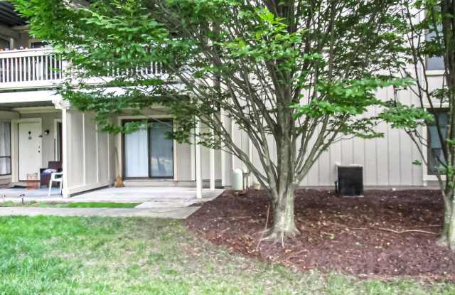 Charming 2 Bed 1 Bath Apartment With Paved Patio In Cardinal Forest photos photos