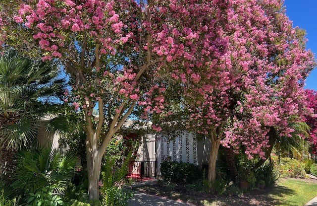 309 Avenida Castilla - 309 Avenida Castilla, Laguna Woods, CA 92637