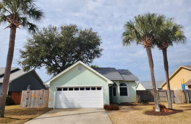 Bid-A-Weed photos photos