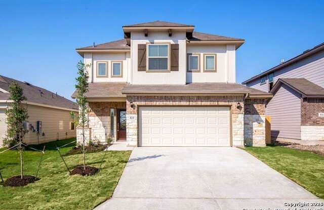 820 WINDFLOWER photos photos