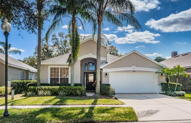 3254 STONEBRIDGE TRAIL - 3254 Stonebridge Trail, Valrico, FL 33596