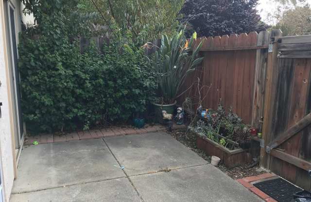 37631 Murietta Ter, Fremont, CA 94536 Gallery 4