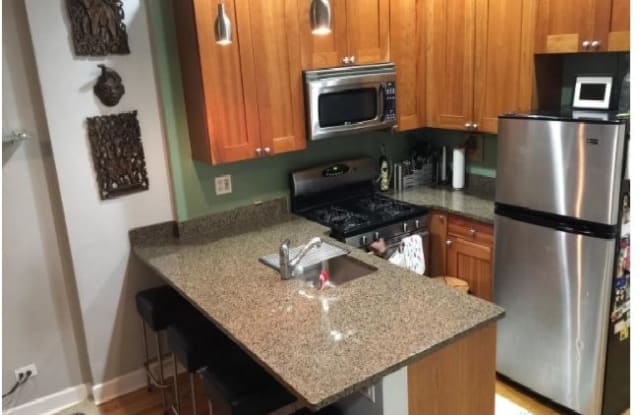 850 W Buckingham Pl - 850 West Buckingham Place, Chicago, IL 60657