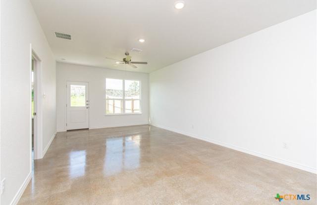 3903 American Elm Gallery 2