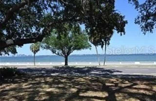 4007 BAYSHORE BOULEVARD Gallery 4