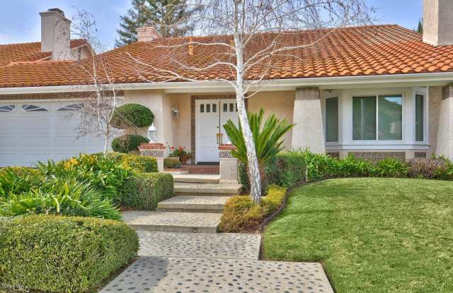 29014 Saddlebrook Drive Gallery 2