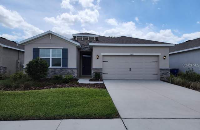 31420 TANSY BEND - 31420 Tansy Bend, Wesley Chapel, FL 33545